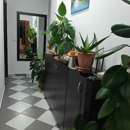 ゲストハウス Jasmine