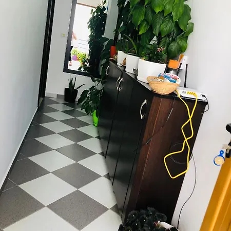 Jasmine ゲストハウス