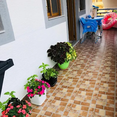 Jasmine Guest house