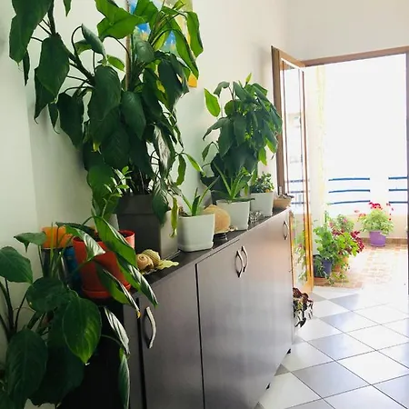 Jasmine 招待所 3*