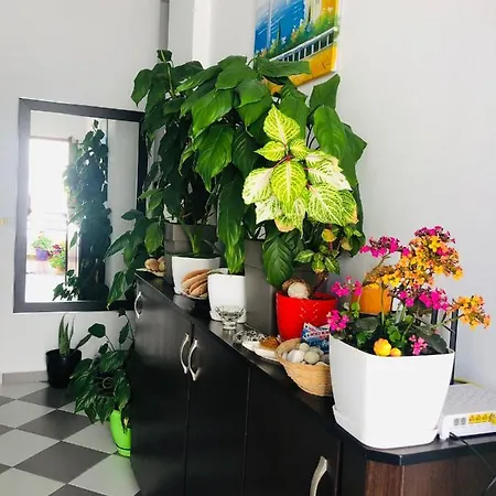 Guest house Jasmine