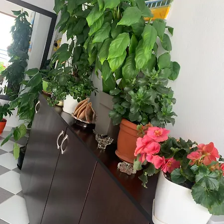 Guest house Jasmine