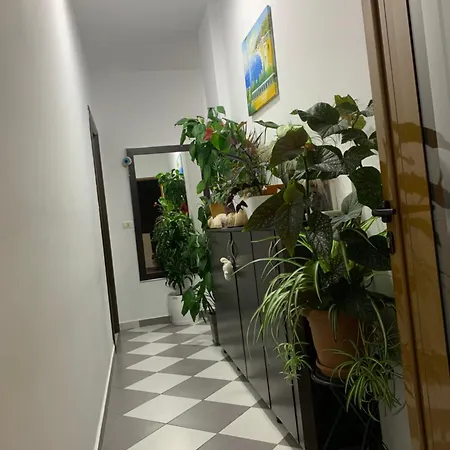 Jasmine 招待所 3*