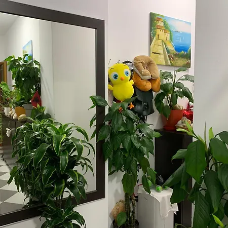 招待所 Jasmine 3*