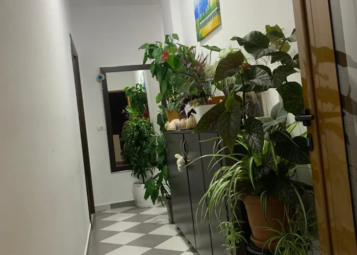 Jasmine Guest house 3*